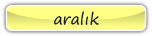 aralık.